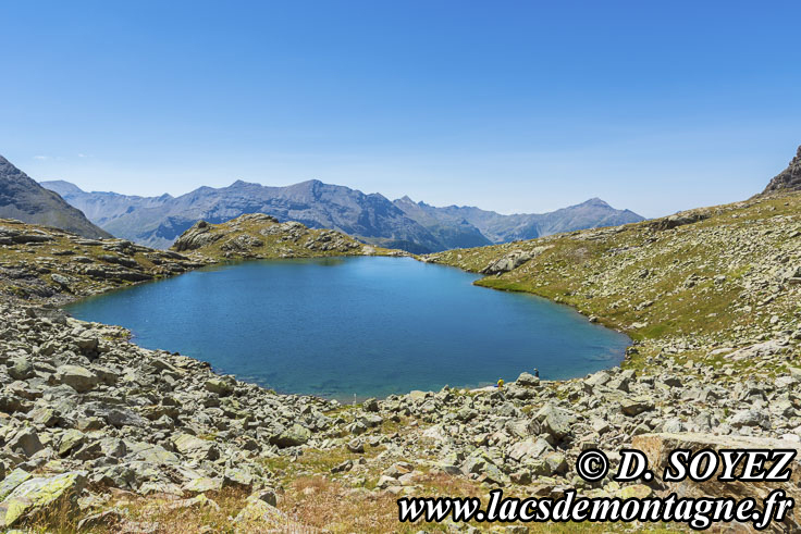 202207109
Lac des Pisses (2495m) (Champsaur, crins, Hautes-Alpes)
Clich Dominique SOYEZ
Copyright Reproduction interdite sans autorisation