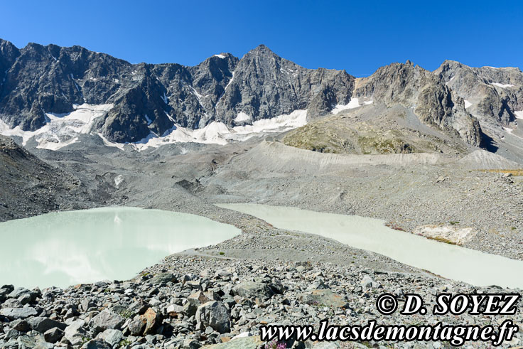 Photo n°202007057
Lac du Glacier d’Arsine (2450m) (Ecrins, Hautes-Alpes)
Cliché Dominique SOYEZ
Copyright Reproduction interdite sans autorisation