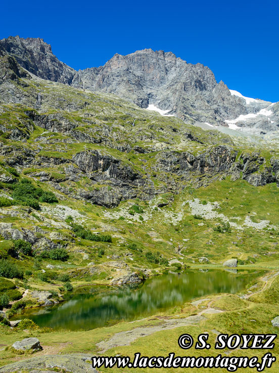 Photo n201608006
Lac du Lauzon (2008m) (Valgaudemar, crins, Hautes-Alpes)
Clich Serge SOYEZ
Copyright Reproduction interdite sans autorisation