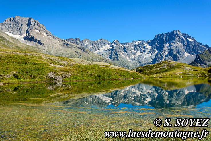 Photo n201608012
Lac du Lauzon (2008m) (Valgaudemar, crins, Hautes-Alpes)
Clich Serge SOYEZ
Copyright Reproduction interdite sans autorisation