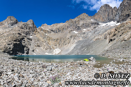 Lac du Pav (2841m)
(Villar-d'Arne, crins, Hautes-Alpes)
Clich Dominique SOYEZ
Copyright Reproduction interdite sans autorisation