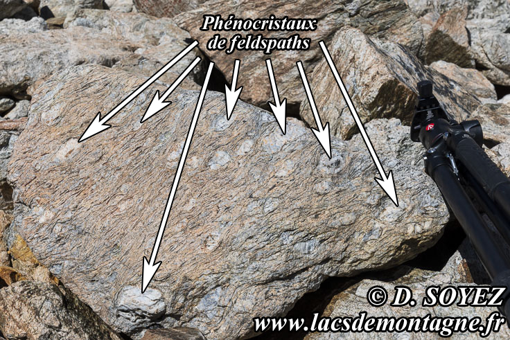 202307089
Lacs de Crupillouse (Champsaur, crins, Hautes-Alpes)
Clich Dominique SOYEZ
Copyright Reproduction interdite sans autorisation