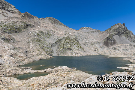 Lacs de Crupillouse
(Champsaur, �crins, Hautes-Alpes)
Clich� Dominique SOYEZ
Copyright Reproduction interdite sans autorisation