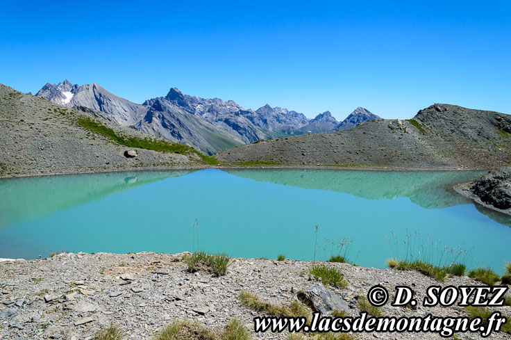 Photo n201307078
Lac de l'toile (2755m) (Guillestrois, Mortice, Queyras, Hautes-Alpes)
Clich Dominique SOYEZ
Copyright Reproduction interdite sans autorisation