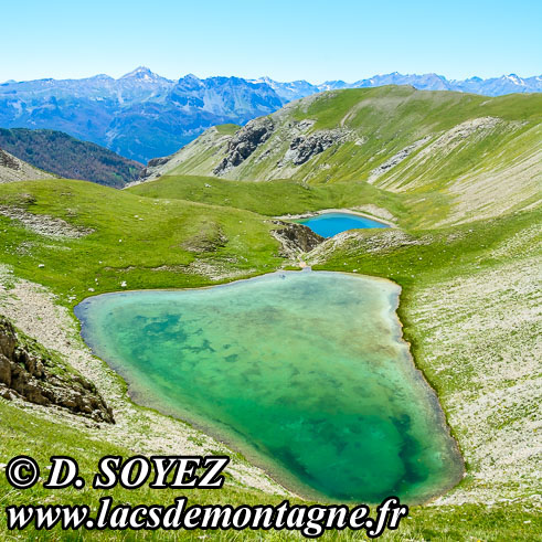 Photo n201607224
Petit lac du Lauzet (2415m) (Limite Guillestrois - Queyras)
Clich Dominique SOYEZ
Copyright Reproduction interdite sans autorisation