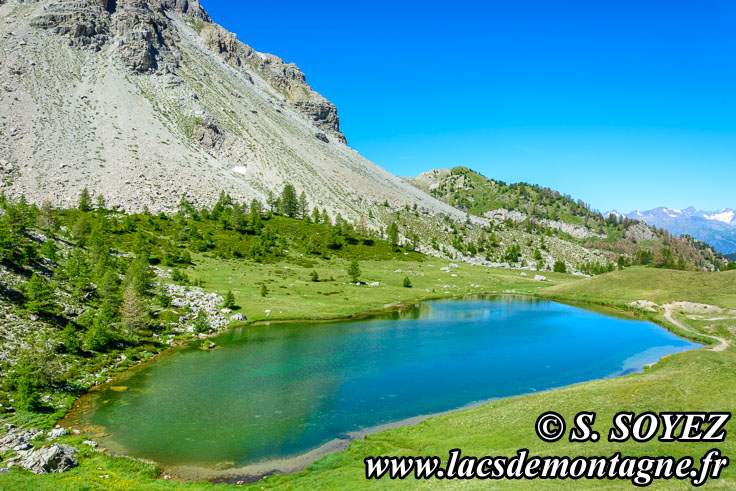 Photo n201607208
Lac moyen du Lauzet (2210m) (Limite Guillestrois - Queyras)
Clich Serge SOYEZ
Copyright Reproduction interdite sans autorisation