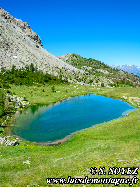 Photo n201607209
Lac moyen du Lauzet (2210m) (Limite Guillestrois - Queyras)
Clich Serge SOYEZ
Copyright Reproduction interdite sans autorisation