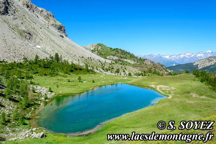 Photo n201607210
Lac moyen du Lauzet (2210m) (Limite Guillestrois - Queyras)
Clich Serge SOYEZ
Copyright Reproduction interdite sans autorisation