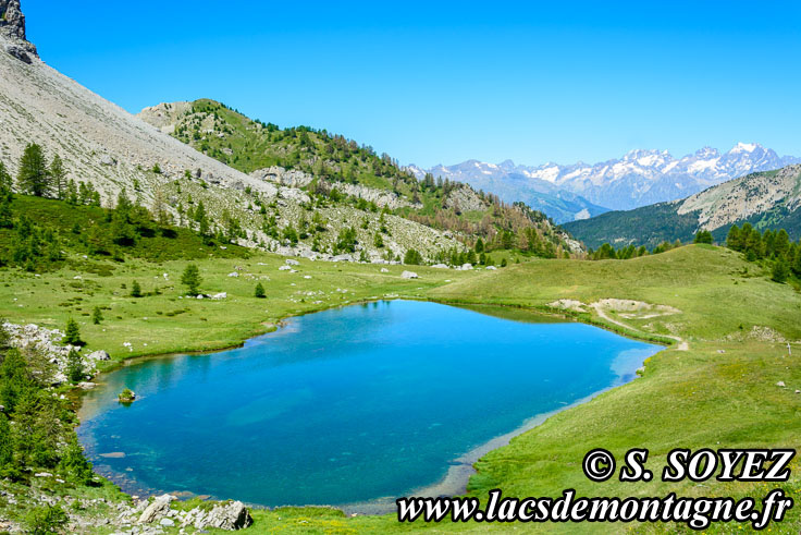 Photo n201607211
Lac moyen du Lauzet (2210m) (Limite Guillestrois - Queyras)
Clich Serge SOYEZ
Copyright Reproduction interdite sans autorisation