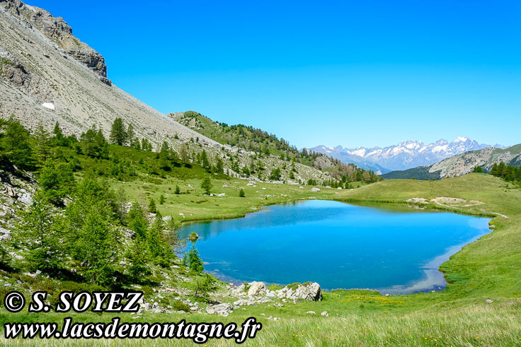 Photo n201607212
Lac moyen du Lauzet (2210m) (Limite Guillestrois - Queyras)
Clich Serge SOYEZ
Copyright Reproduction interdite sans autorisation