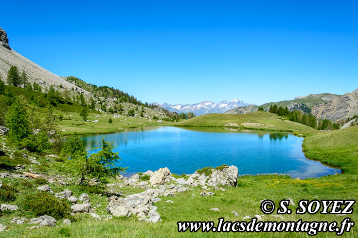 Photo n201607213
Lac moyen du Lauzet (2210m) (Limite Guillestrois - Queyras)
Clich Serge SOYEZ
Copyright Reproduction interdite sans autorisation