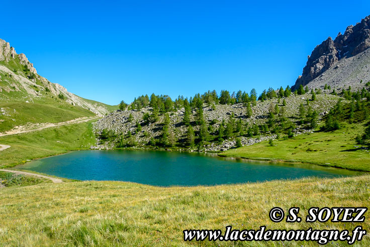 Photo n201607214
Lac moyen du Lauzet (2210m) (Limite Guillestrois - Queyras)
Clich Serge SOYEZ
Copyright Reproduction interdite sans autorisation