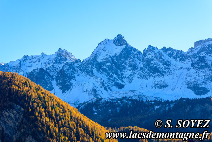 Photo n201610012
Couleurs d'automne d'un mlzin du Queyras (Hautes-Alpes)
Clich Serge SOYEZ
Copyright Reproduction interdite sans autorisation