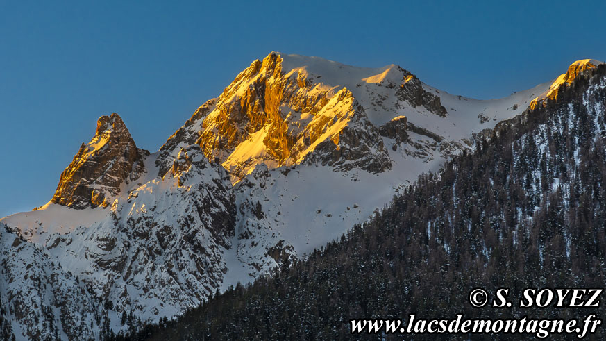 Photo n202401005
Pointe de la Saume (3043m) (Ceillac, Queyras, Hautes-Alpes)
Clich Serge SOYEZ
Copyright Reproduction interdite sans autorisation