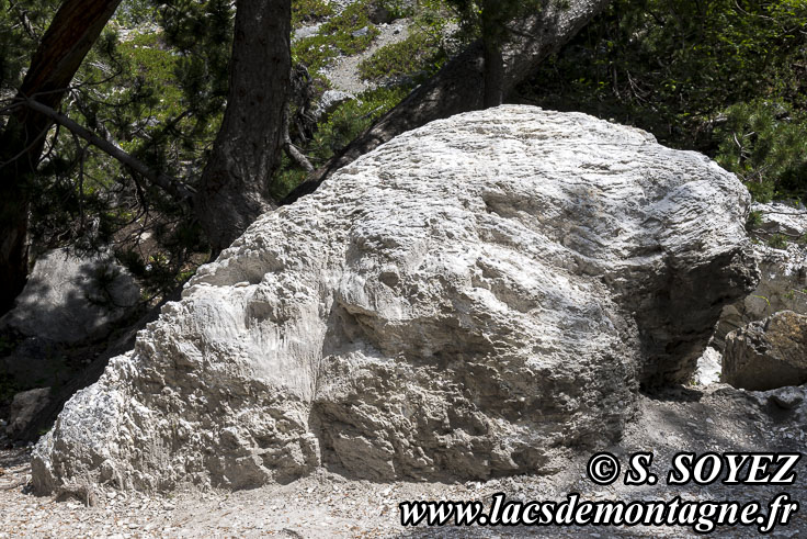 Photo n202307010
Gypse (Queyras, Hautes-Alpes)
Clich Serge SOYEZ
Copyright Reproduction interdite sans autorisation