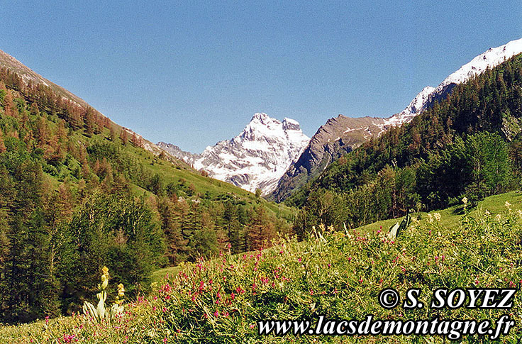 Photo n°19920701
Petit Belvédère du Mont Viso (1910m) (Queyras, Hautes-Alpes)
Cliché Serge SOYEZ
Copyright Reproduction interdite sans autorisation