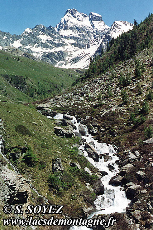 Photo n°19920702
Grand Belvédère du Mont Viso (2133m) (Queyras, Hautes-Alpes)
Cliché Serge SOYEZ
Copyright Reproduction interdite sans autorisation