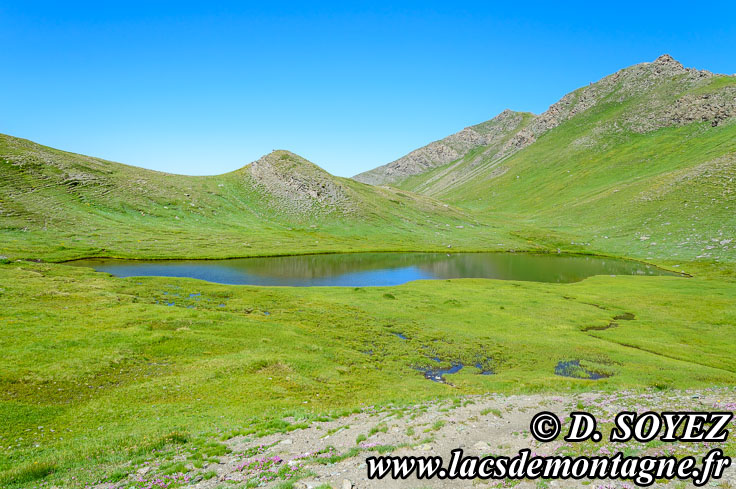 Photo n201307023
Lac Chalantis (2569m) (Queyras, Hautes-Alpes)
Clich Dominique SOYEZ
Copyright Reproduction interdite sans autorisation