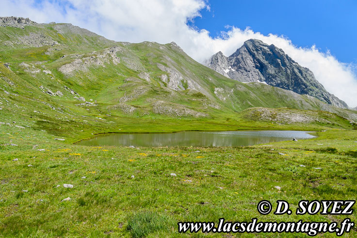 Photo n201307037
Lac Chalantis (2569m) (Queyras, Hautes-Alpes)
Clich Dominique SOYEZ
Copyright Reproduction interdite sans autorisation