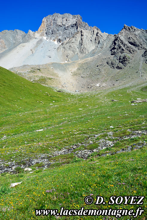 Photo n201607095
Face Nord-Est du Pouvou (3232m) (Queyras, Hautes-Alpes)
Clich Dominique SOYEZ
Copyright Reproduction interdite sans autorisation