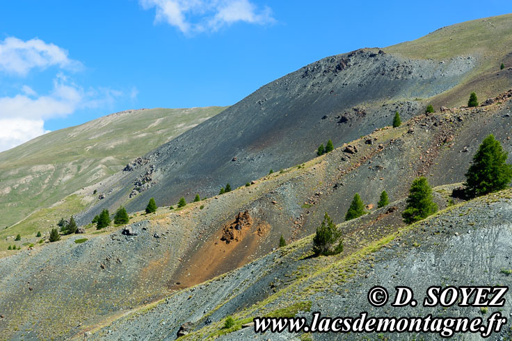 Photo n201907007
Affleurement de roches mtamorphiques (serpentine prdominante) et de gabbro.
En face du lac de Clausis, sur le versant sud-ouest du Rocher Blanc vers 2500m, valle du Cristillan, Ceillac en Queyras (Hautes-Alpes)
Clich Dominique SOYEZ
Copyright Reproduction interdite sans autorisation