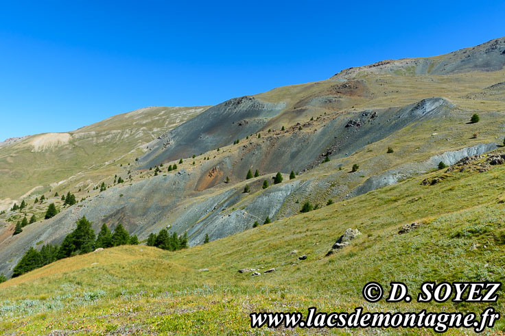 Photo n201907008
Affleurement de roches mtamorphiques (serpentine prdominante) et de gabbro.
En face du lac de Clausis, sur le versant sud-ouest du Rocher Blanc vers 2500m, valle du Cristillan, Ceillac en Queyras (Hautes-Alpes)
Clich Dominique SOYEZ
Copyright Reproduction interdite sans autorisation