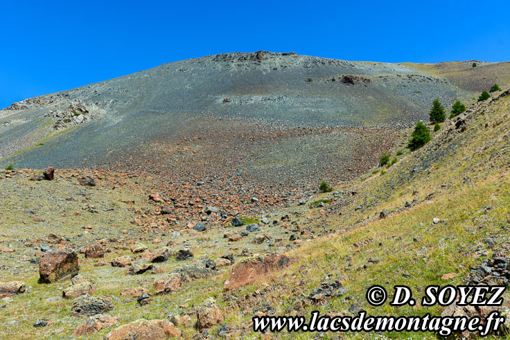 Photo n201907007
Affleurement de roches mtamorphiques (serpentine prdominante) et de gabbro.
En face du lac de Clausis, sur le versant sud-ouest du Rocher Blanc vers 2500m, valle du Cristillan, Ceillac en Queyras (Hautes-Alpes)
Clich Dominique SOYEZ
Copyright Reproduction interdite sans autorisation