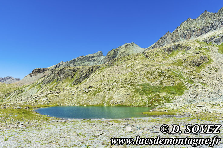 Photo n°202207029
Lac Lestio (2510m) (Queyras, Hautes-Alpes)
Cliché Dominique SOYEZ
Copyright Reproduction interdite sans autorisation