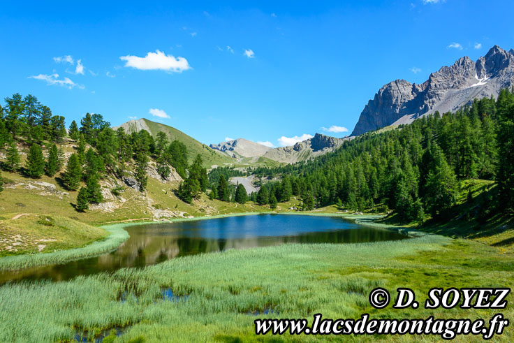 Photo n201807081
Lac Miroir ou lac des Prs Soubeyrand (2214 m) (Queyras, Hautes-Alpes)
Clich Dominique SOYEZ
Copyright Reproduction interdite sans autorisation