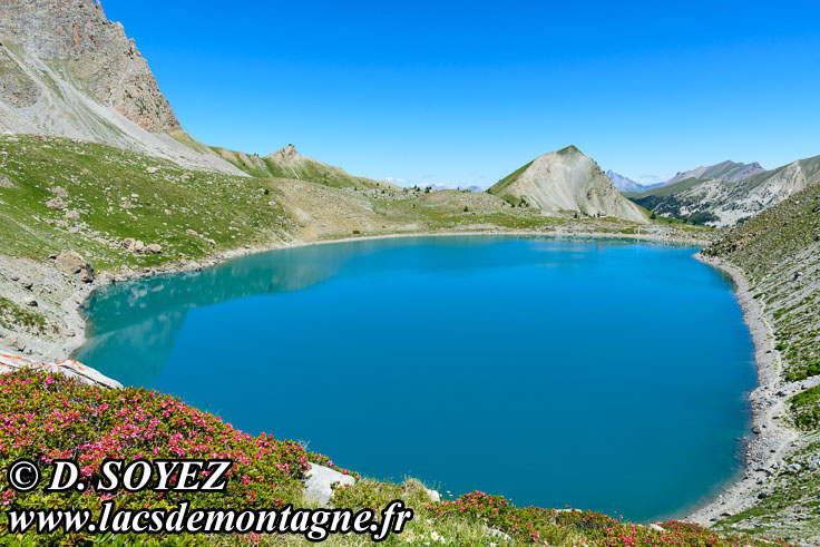 Photo n°201907011
Lac Sainte-Anne (2415m) (Queyras, Hautes-Alpes)
Cliché Dominique SOYEZ
Copyright Reproduction interdite sans autorisation