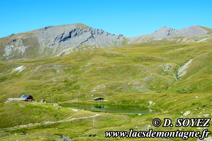 Photo n201707042
Lac de la Blanche (2499m) (Queyras) (Hautes-Alpes)
Clich Dominique SOYEZ
Copyright Reproduction interdite sans autorisation