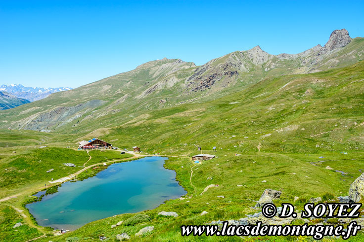 Photo n201707110
Lac de la Blanche (2499m) (Queyras) (Hautes-Alpes)
Clich Dominique SOYEZ
Copyright Reproduction interdite sans autorisation