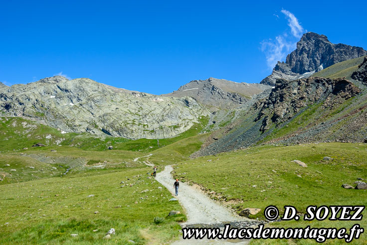 Photo n201707116
Lac de la Blanche (2499m) (Queyras) (Hautes-Alpes)
Clich Dominique SOYEZ
Copyright Reproduction interdite sans autorisation