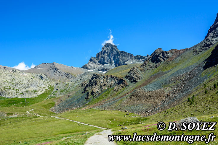 Photo n201707117
Lac de la Blanche (2499m) (Queyras) (Hautes-Alpes)
Clich Dominique SOYEZ
Copyright Reproduction interdite sans autorisation