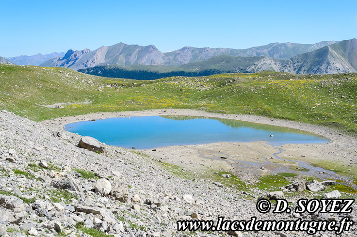 Photo n201307061
Lac des Rouites (2413m) (Queyras, Hautes-Alpes)
Clich Dominique SOYEZ
Copyright Reproduction interdite sans autorisation