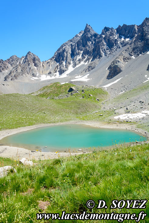 Photo n201707091
Lac des Rouites (2413m) (Queyras, Hautes-Alpes)
Clich Dominique SOYEZ
Copyright Reproduction interdite sans autorisation