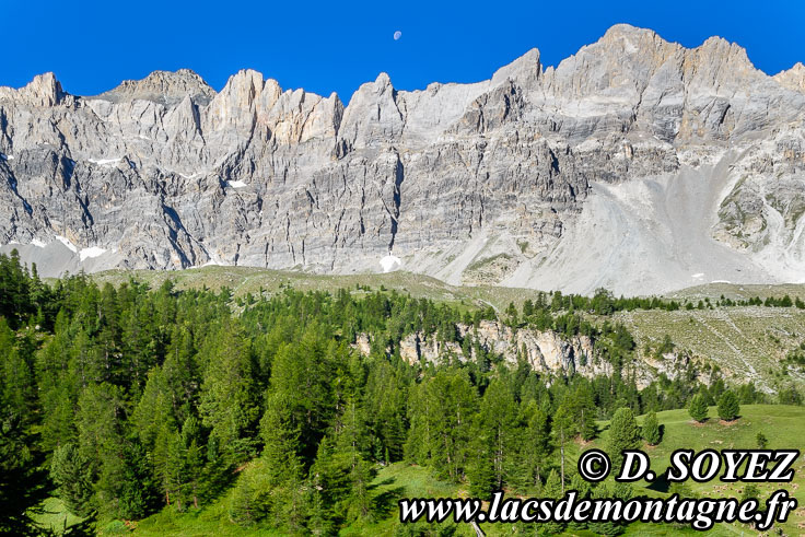 Photo n201707089
Lac des Rouites (2413m) (Queyras, Hautes-Alpes)
Clich Dominique SOYEZ
Copyright Reproduction interdite sans autorisation