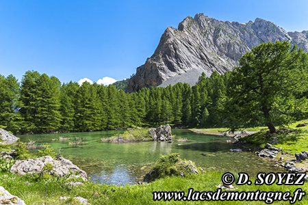Lac du Lauzon de Furfande (2030m)
(Queyras, Hautes-Alpes)
Clich� Dominique SOYEZ
Copyright Reproduction interdite sans autorisation