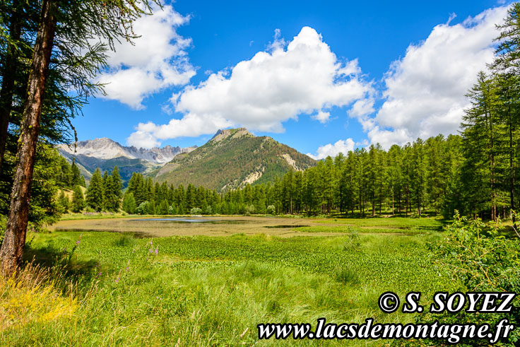 Photo n201607178
Lac de Roue (1847m) (Queyras, Hautes-Alpes)
Clich Serge SOYEZ
Copyright Reproduction interdite sans autorisation