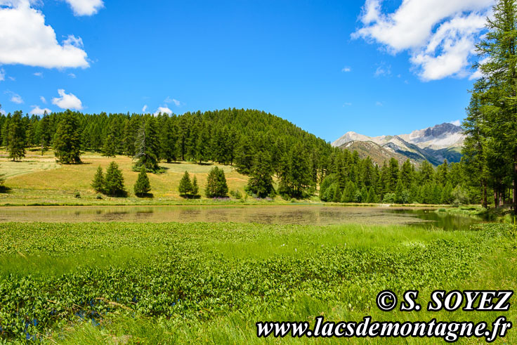 Photo n201607179
Lac de Roue (1847m) (Queyras, Hautes-Alpes)
Clich Serge SOYEZ
Copyright Reproduction interdite sans autorisation