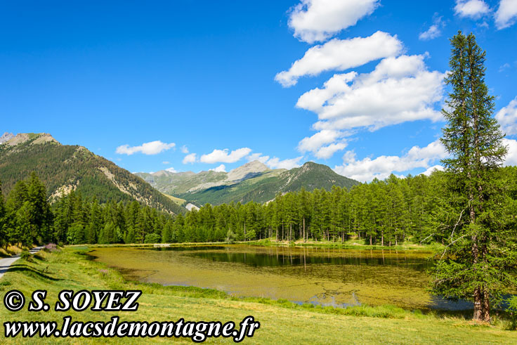 Photo n°201607185
Lac de Roue (1847m) (Queyras, Hautes-Alpes)
Cliché Serge SOYEZ
Copyright Reproduction interdite sans autorisation