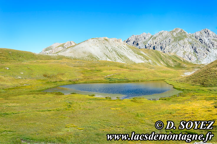 Photo n201507114
Lac du Cogour (2479m) (Queyras, Hautes-Alpes)
Clich Dominique SOYEZ
Copyright Reproduction interdite sans autorisation