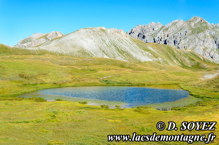 Photo n201507115
Lac du Cogour (2479m) (Queyras, Hautes-Alpes)
Clich Dominique SOYEZ
Copyright Reproduction interdite sans autorisation