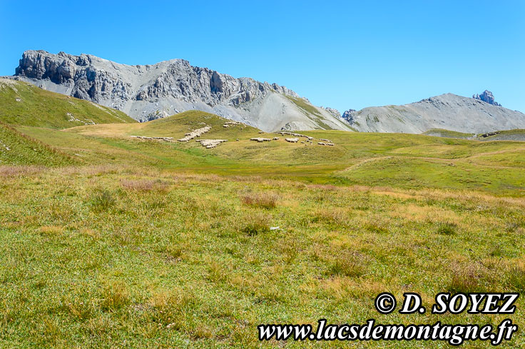 Photo n°201507118
Entre lac du Cogour et lacs Marion (Queyras, Hautes-Alpes)
Cliché Dominique SOYEZ
Copyright Reproduction interdite sans autorisation