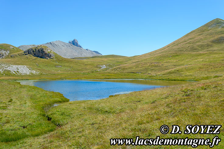 Photo n201507121
Lac du Cogour (2479m) (Queyras, Hautes-Alpes)
Clich Dominique SOYEZ
Copyright Reproduction interdite sans autorisation