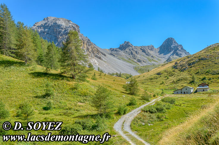 Photo n201507123
Le Collet (2207m), au dessous des Chalets de Clapeyto (Queyras, Hautes-Alpes)
Clich Dominique SOYEZ
Copyright Reproduction interdite sans autorisation