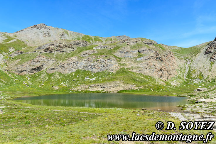 Photo n201907019
Le Petit Laus (2760m) (Queyras, Hautes-Alpes)
Clich Dominique SOYEZ
Copyright Reproduction interdite sans autorisation