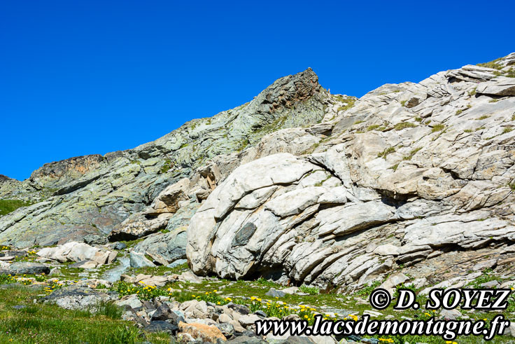 Photo n201607121
Lac Blanchet suprieur (2810m): un lac au fond de l'ocan  3000m d'altitude! (Queyras, Hautes-Alpes)
Clich Dominique SOYEZ
Copyright Reproduction interdite sans autorisation