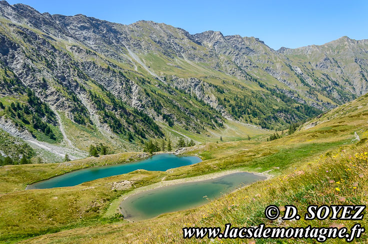 Photo n201507087
Lacs Lacroix ou de Sgure (2383m) (Queyras, Hautes-Alpes)
Clich Dominique SOYEZ
Copyright Reproduction interdite sans autorisation