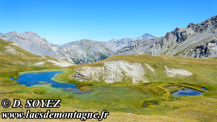 Photo n°201507126
Lacs Marion Est (2487m) (Queyras, Hautes-Alpes)
Cliché Dominique SOYEZ
Copyright Reproduction interdite sans autorisation